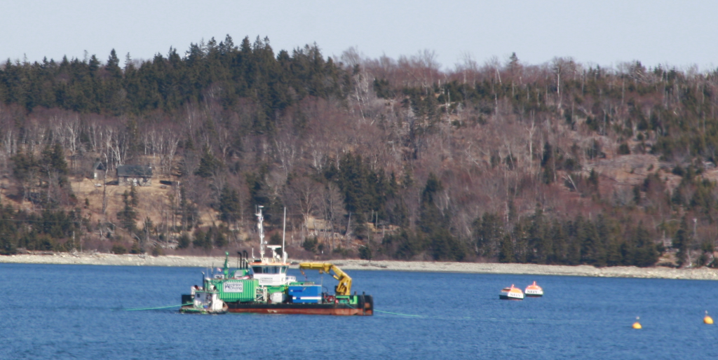 Dominion Warrior Put to work | Halifax Shipping News.ca